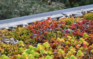 the cost of Burley Gate green roof installation