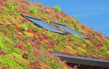 Burley Gate living roof systems